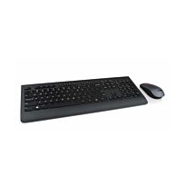 Lenovo Professional Plus Wireless  Keyboard & Mouse (Euro English)
