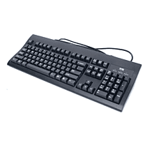 Dell Wyse Enhanced US English Version Wired Standard Keyboard PS2