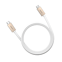 Apacer DC120 USB 3.1 Type-C to Type-C Cable - White