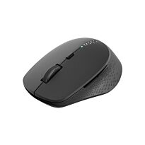Rapoo Wirelss Mouse M300 Silent Black